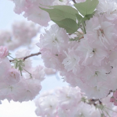 兽设场景透视绘画教程福瑞群