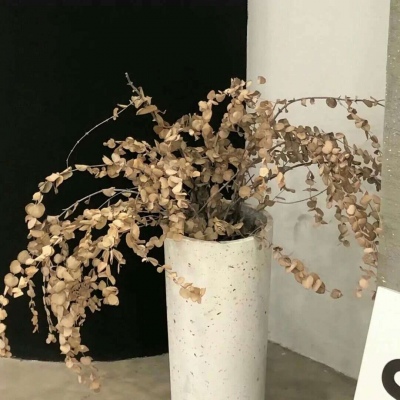 Furry插画素材分享兽圈群